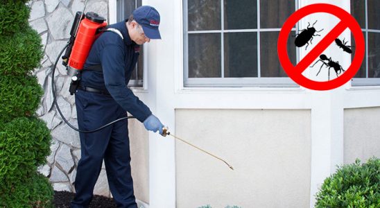 Dereli Fare İlaçlama böcek ilaçlama ve haşere kontrolü — ilaclama-tr.com